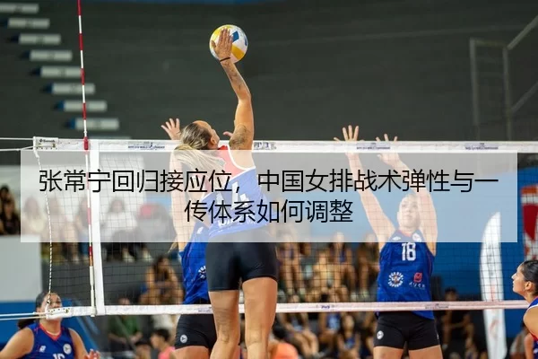 zhang-chang-ning-hui-gui-jie-ying-wei-zhong-guo-nv-pai-zhan-shu-tan-xing-yu-yi-chuan-ti-xi-ru-he-tiao-zheng-2-390.jpg